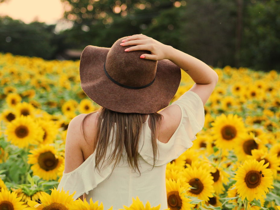 Horoskop Thema: Frau mit Hut im Sonnenblumenfeld