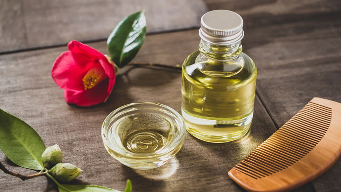 Kamelienöl: Anwendung und Wirkung für Haut, Haare und Co.
