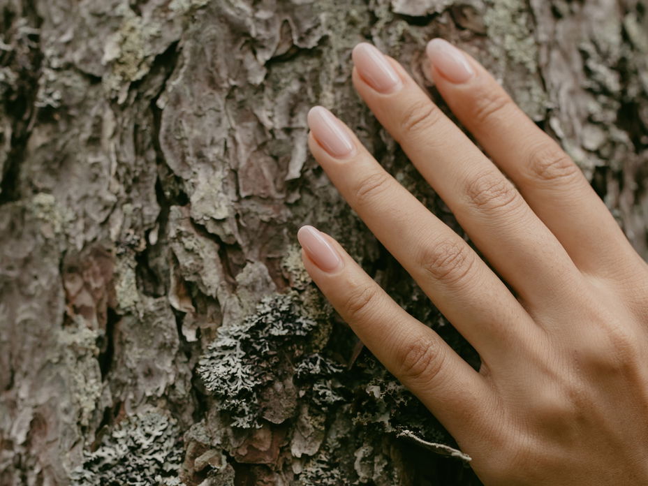 Nagelhärter Test