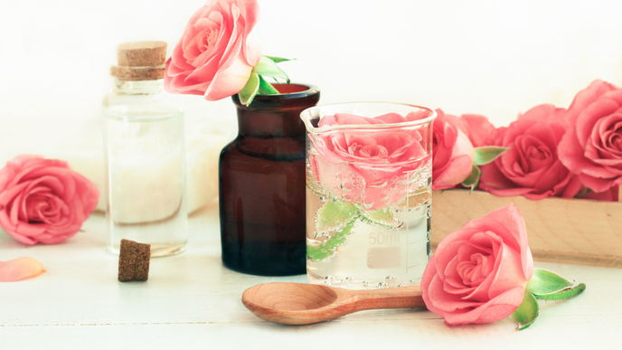 Rosenwasser: Das Beauty-Wasser für jeden Hauttyp