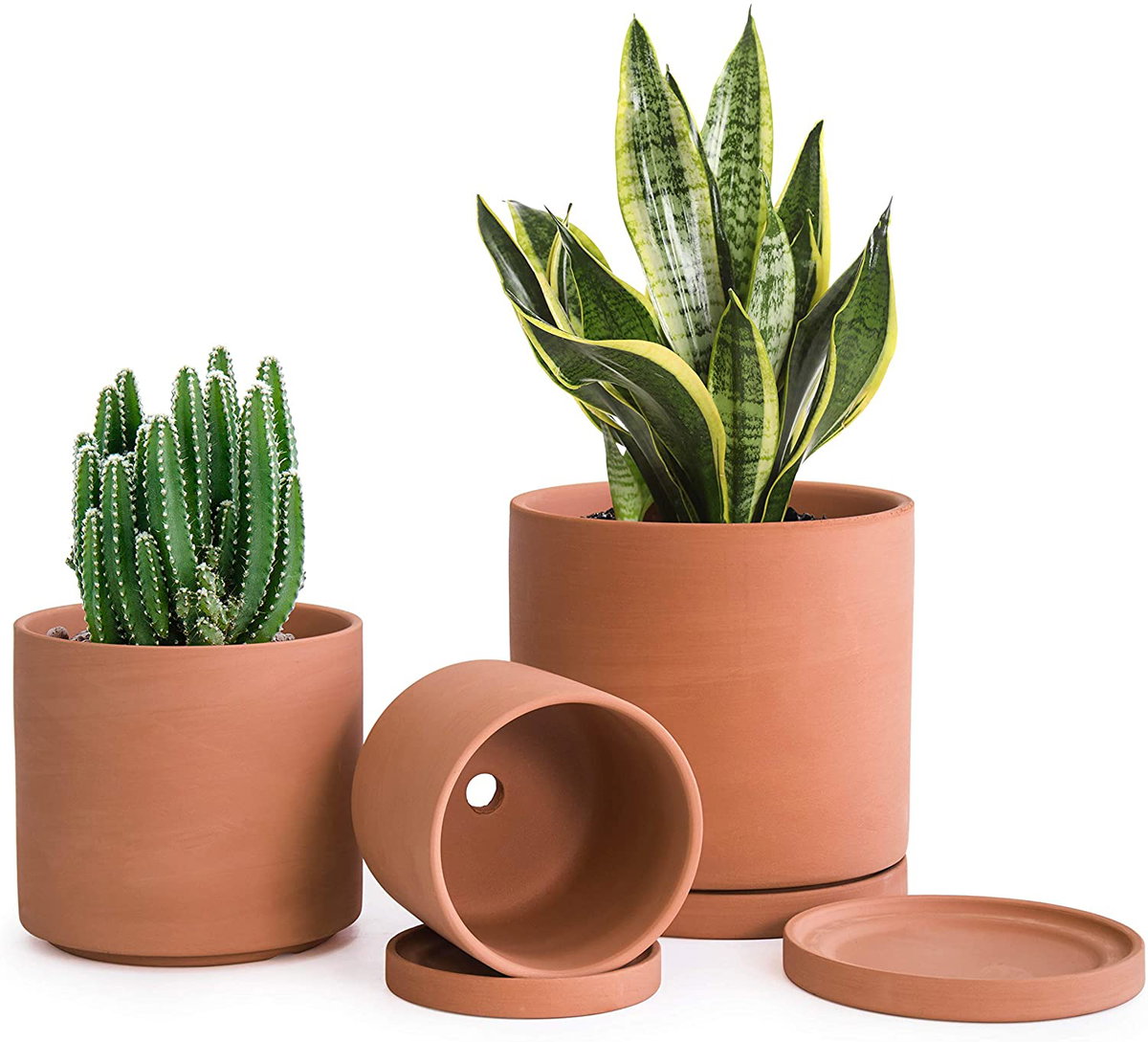Terrakotta Übertopf für Pflanzen