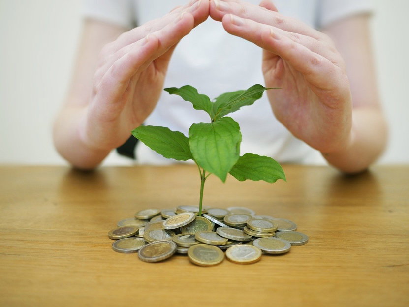 Geld Baum