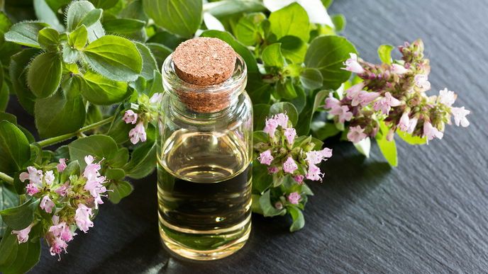 Origanumöl: Alles zur Anwendung, Wirkung und Tipps