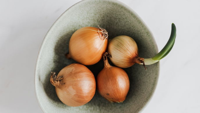 Zwiebelsaft: So stellst du das Hausmittel gegen Husten her