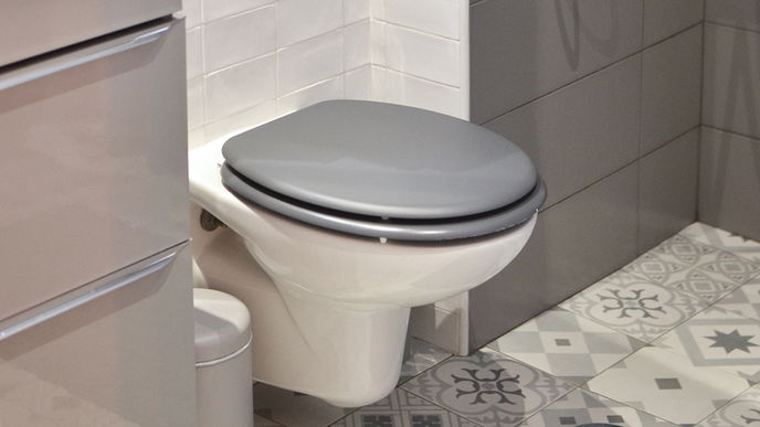 Darum solltest du den Toilettendeckel beim Spülen immer herunterlassen