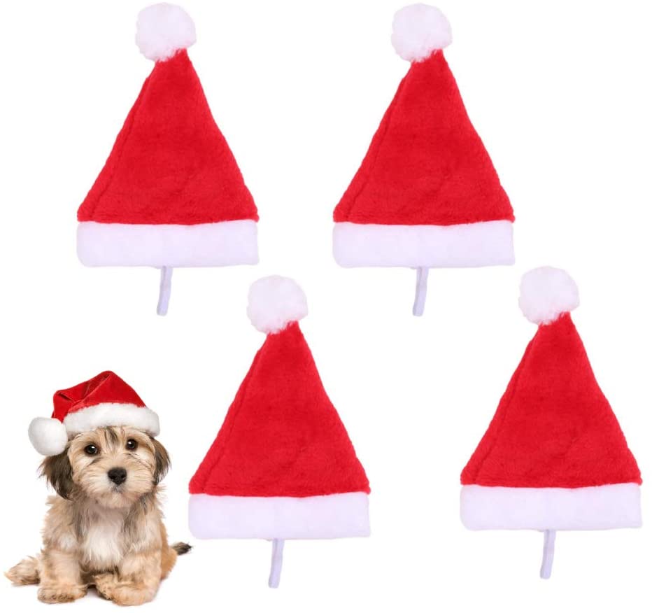 Weihnachtsmütze Hunde