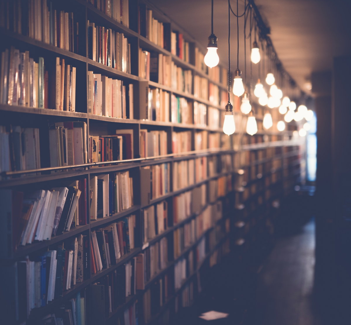 Bücherwand Bibliothek