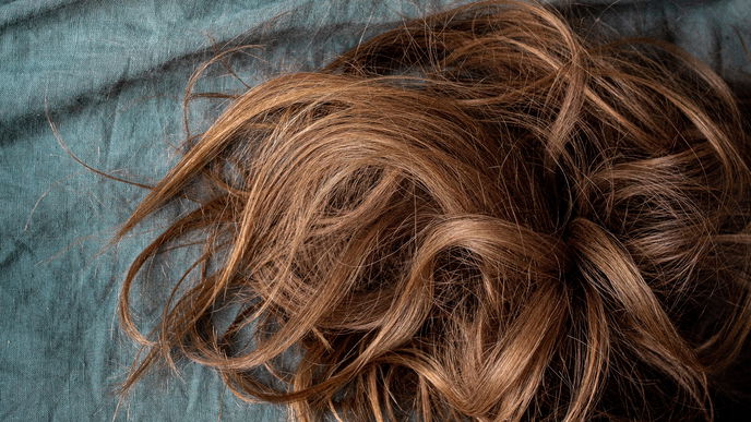 Birkenwasser für die Haare: Anwendung und Wirkung für Kopfhaut und Haare
