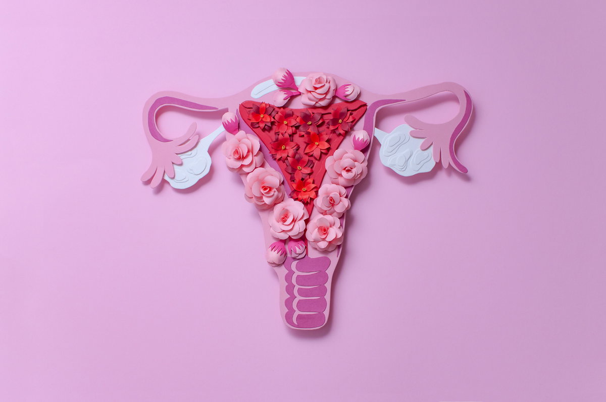 Uterus