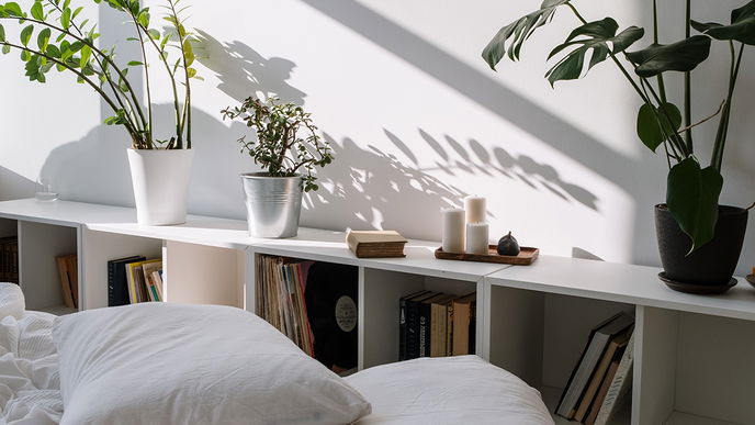 Pflanzen-Trends 2022: 5 Arten, die gut für das Schlafzimmer sind