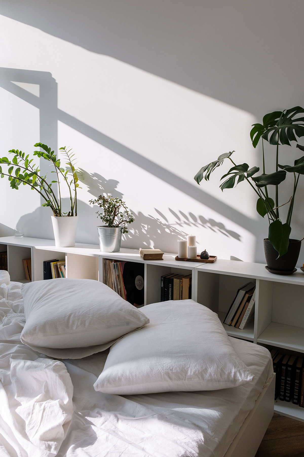 Pflanzen im Schlafzimmer