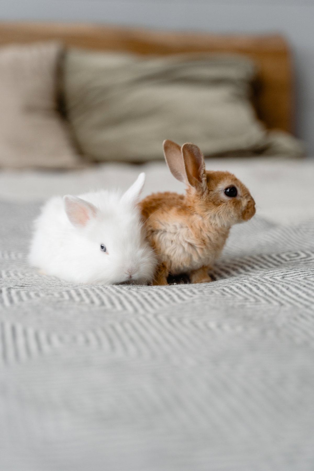 Ostern