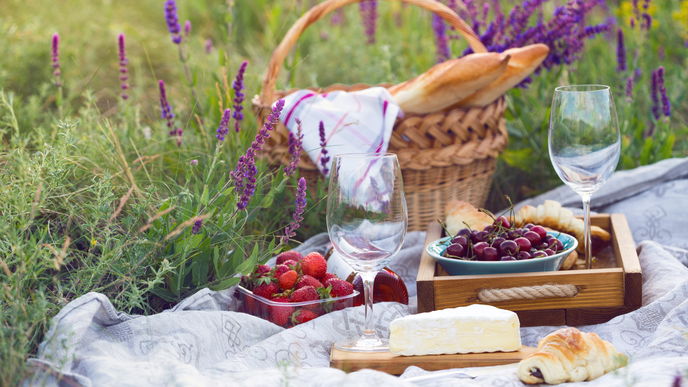 Picknick: Diese 6 Must-haves dürfen nicht fehlen