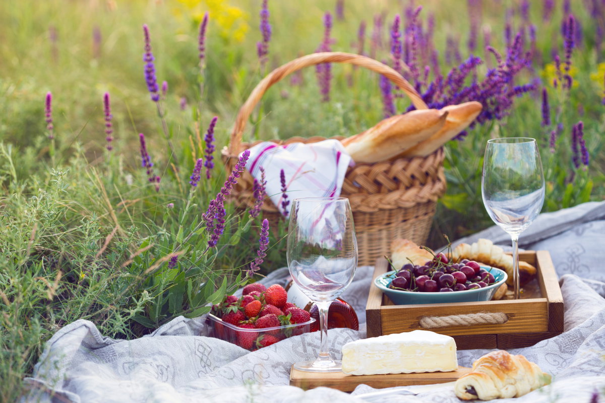 Picknickkorb mit Baguette, Käse und Wein