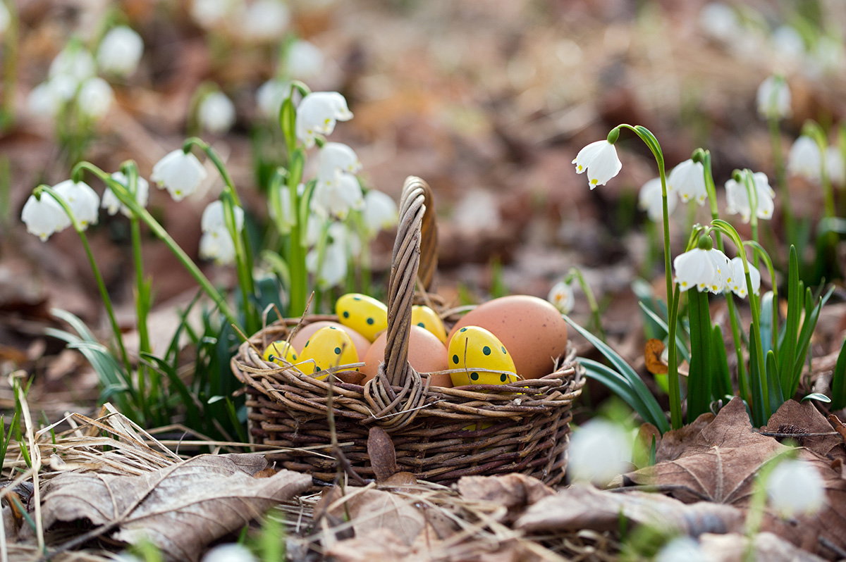 Osterzeit