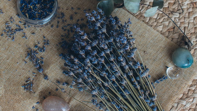 Lavendel trocknen: Tipps und Methoden zum Trocknen und Weiterverarbeiten
