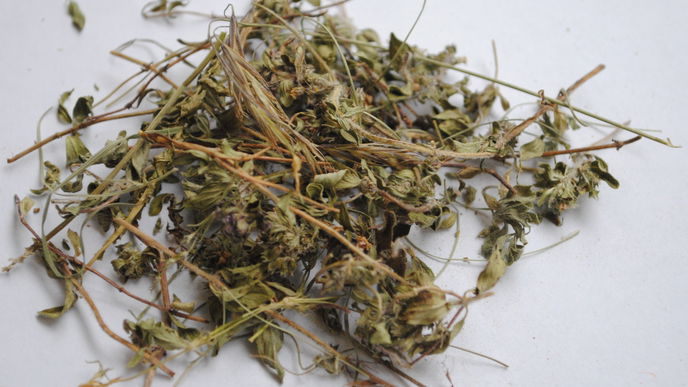 Thymian trocknen: So behält er sein Aroma