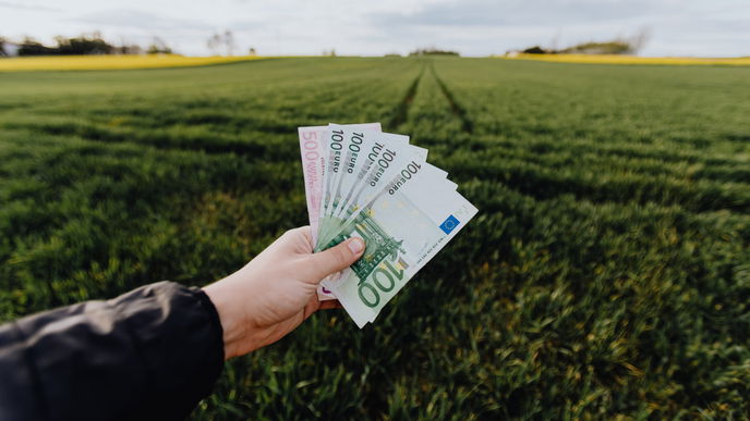 Geld sparen: 23 einfache Tipps und Tricks für den Alltag