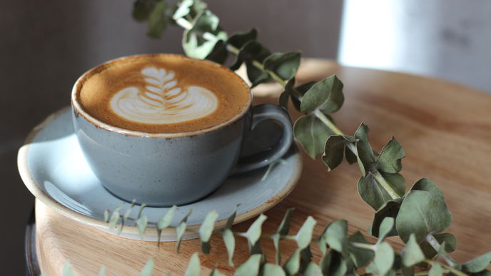 Gesundheit: Diese Kaffee-Alternativen sind die besten Wachmacher