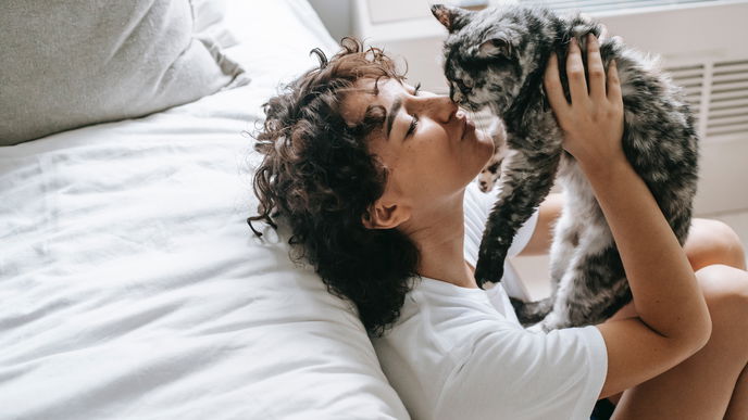 Internationaler Tag der Katze: 5 Dinge, die du von deiner Samtpfote lernen kannst