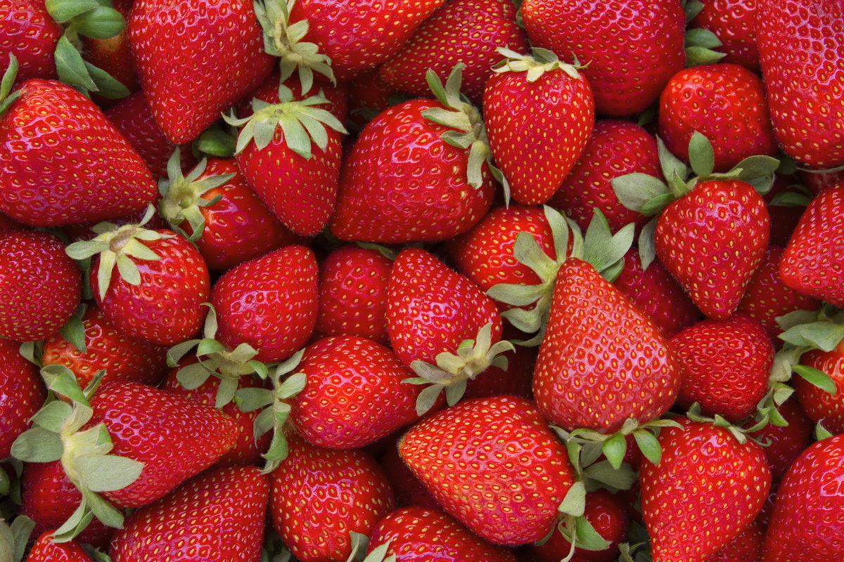 Frische, rote Erdbeeren