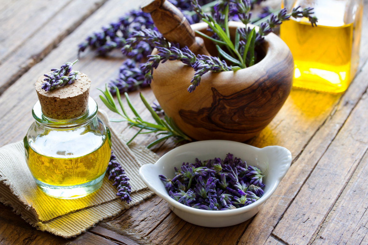 Schälchen mit getrocknetem Lavendel und Öl