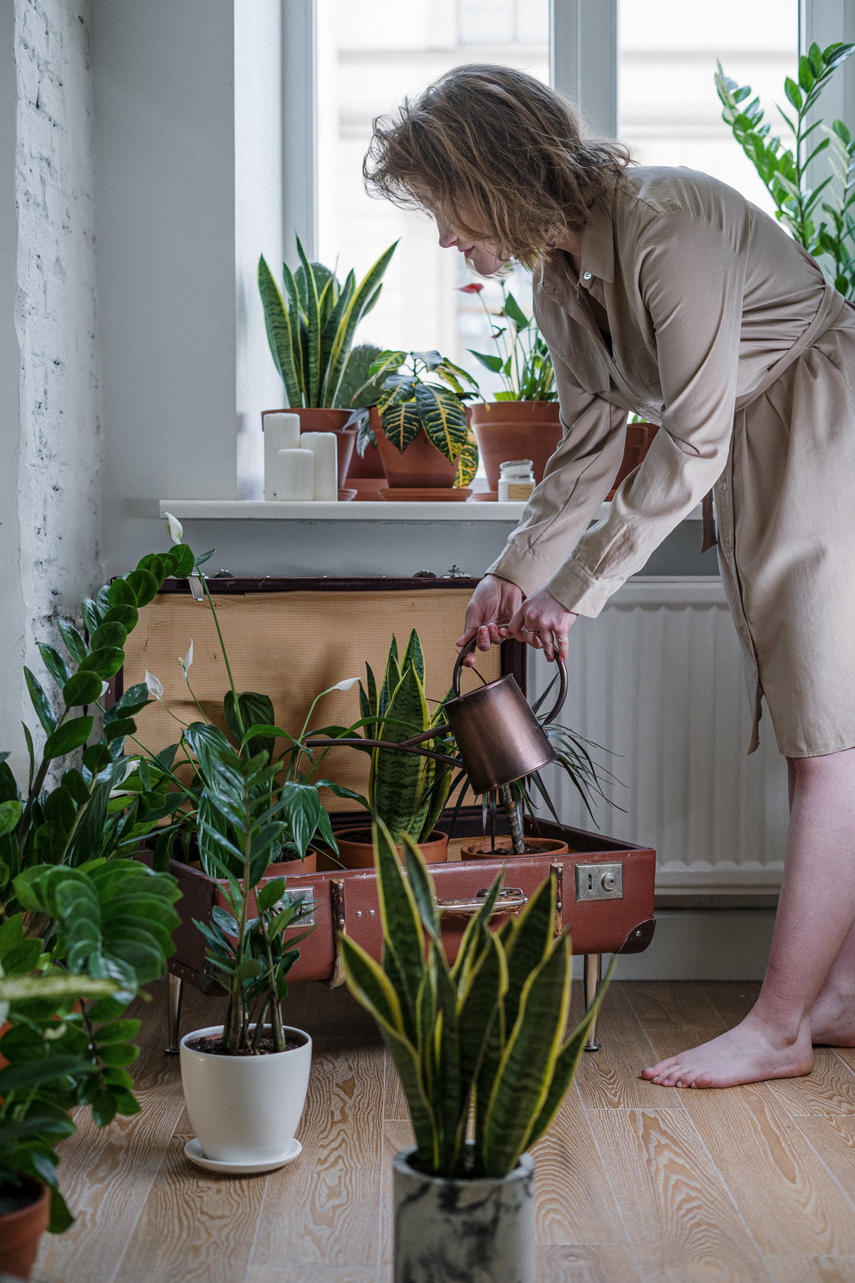 Frau gießt Zimmerpflanze