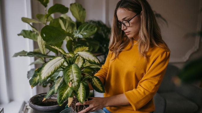 Pflanzen-Trend 2022: Mit diesen 4 Tipps verwandelst du deine Wohnung in einen Urban Jungle