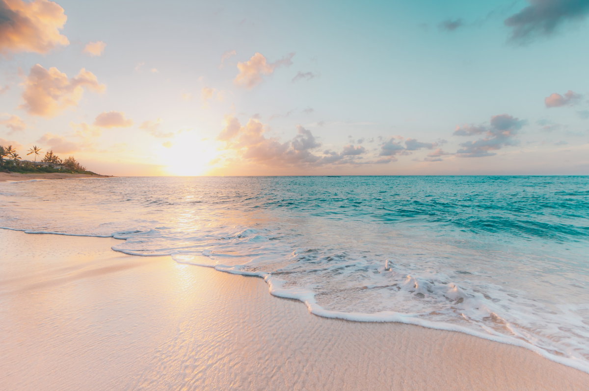 Strand mit Meer und Palmen