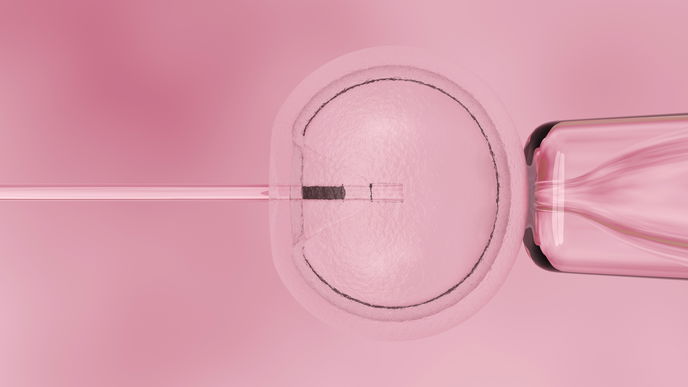 In-vitro-Fertilisation: Ablauf, Erfolgschancen und Kosten der IVF Behandlung