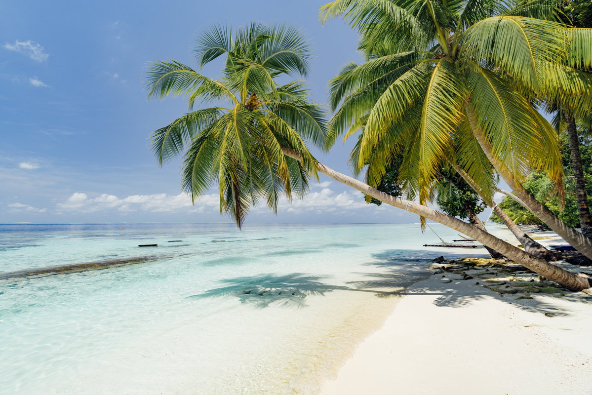 Strand mit Palmen