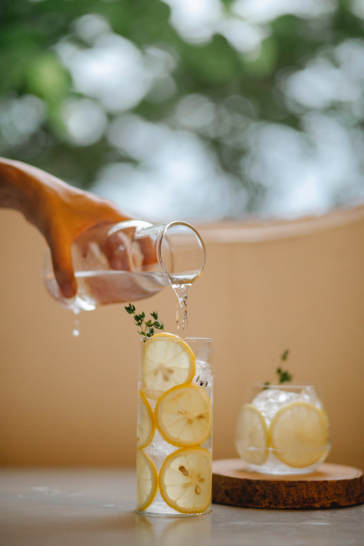 Limonade Stoffwechsel