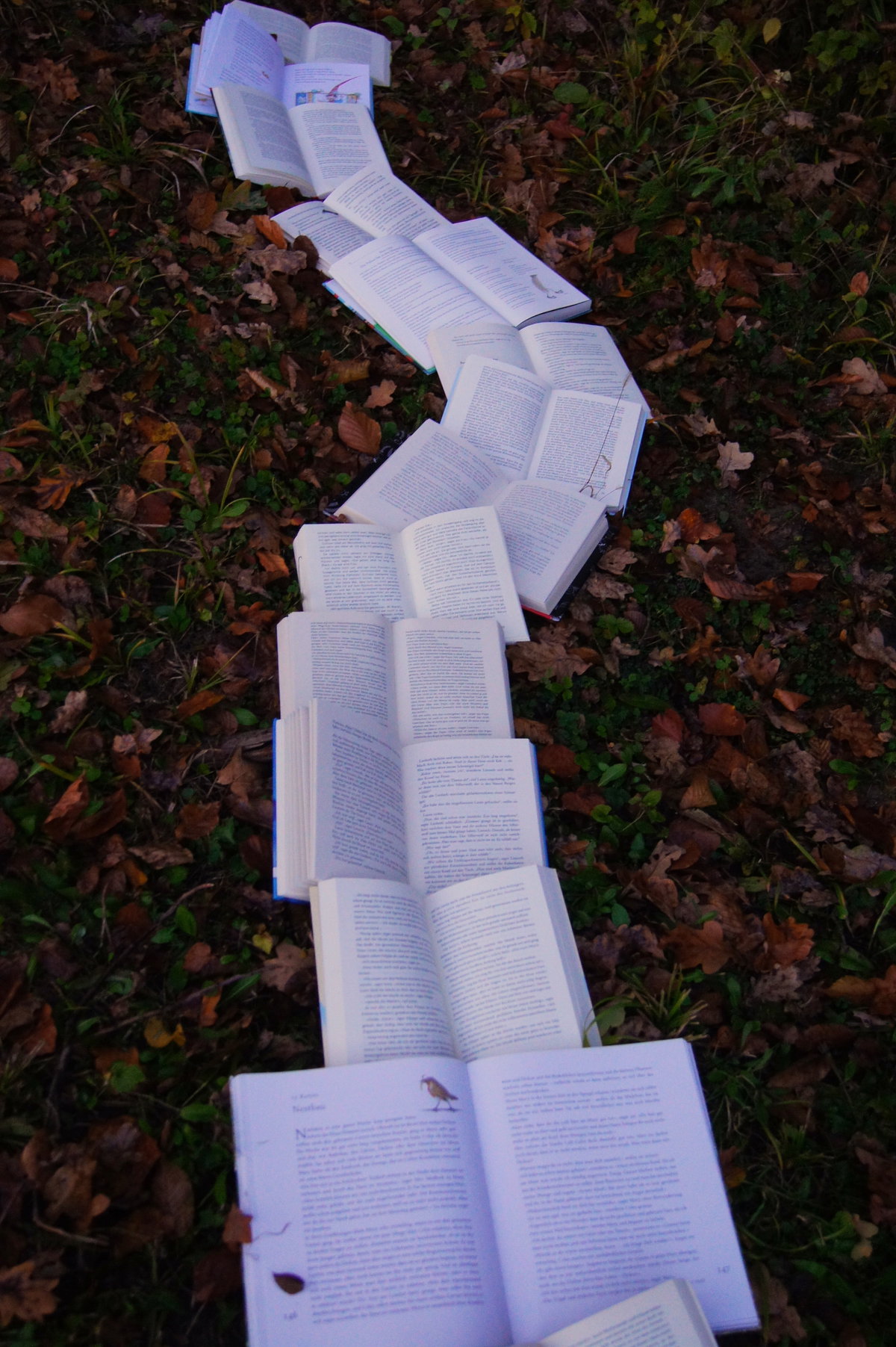 Bücher liegen auf Blättern