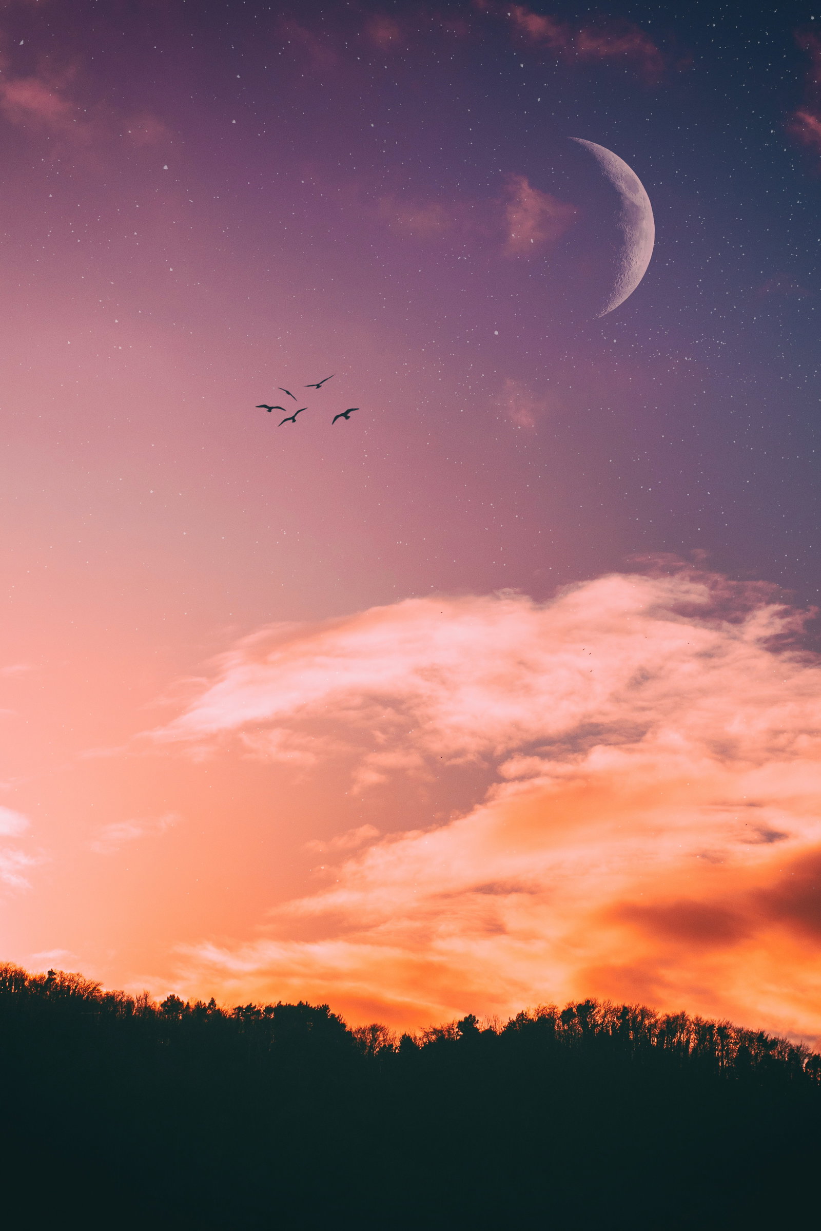 Horoskop heute: Dein Tageshoroskop am 26. August 2026