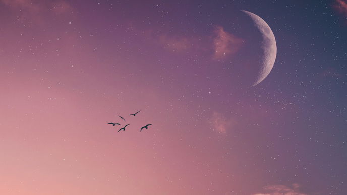 Horoskop heute: Dein Tageshoroskop am 28. August 2026