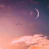 Horoskop heute: Dein Tageshoroskop am 26. August 2026