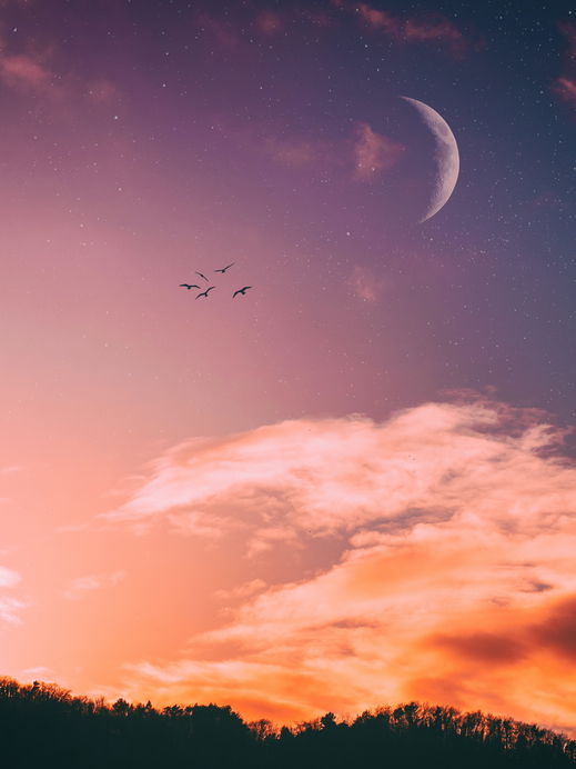 Horoskop heute: Dein Tageshoroskop am 27. August 2026