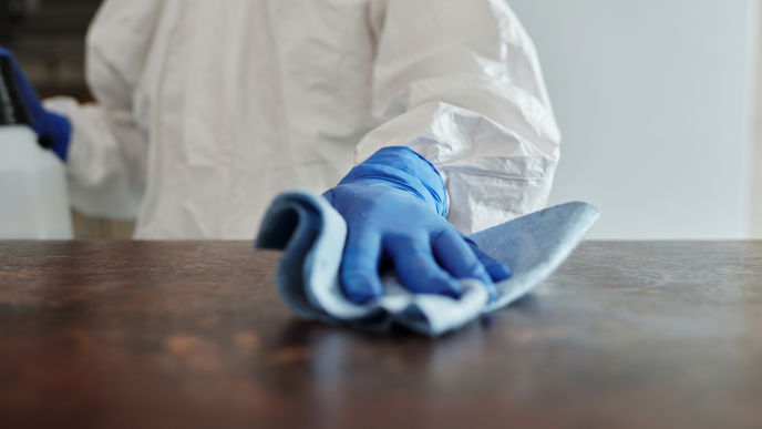 Haushalt: An diesen Stellen verstecken sich die meisten Viren