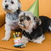Hundekuchen: 5 einfache Rezepte für deinen Vierbeiner zum Geburtstag