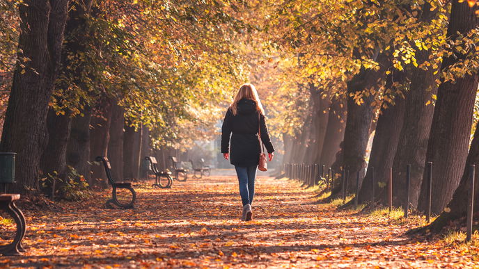 Horoskop 2022: Diese 3 Sternzeichen leiden am meisten am Herbstblues