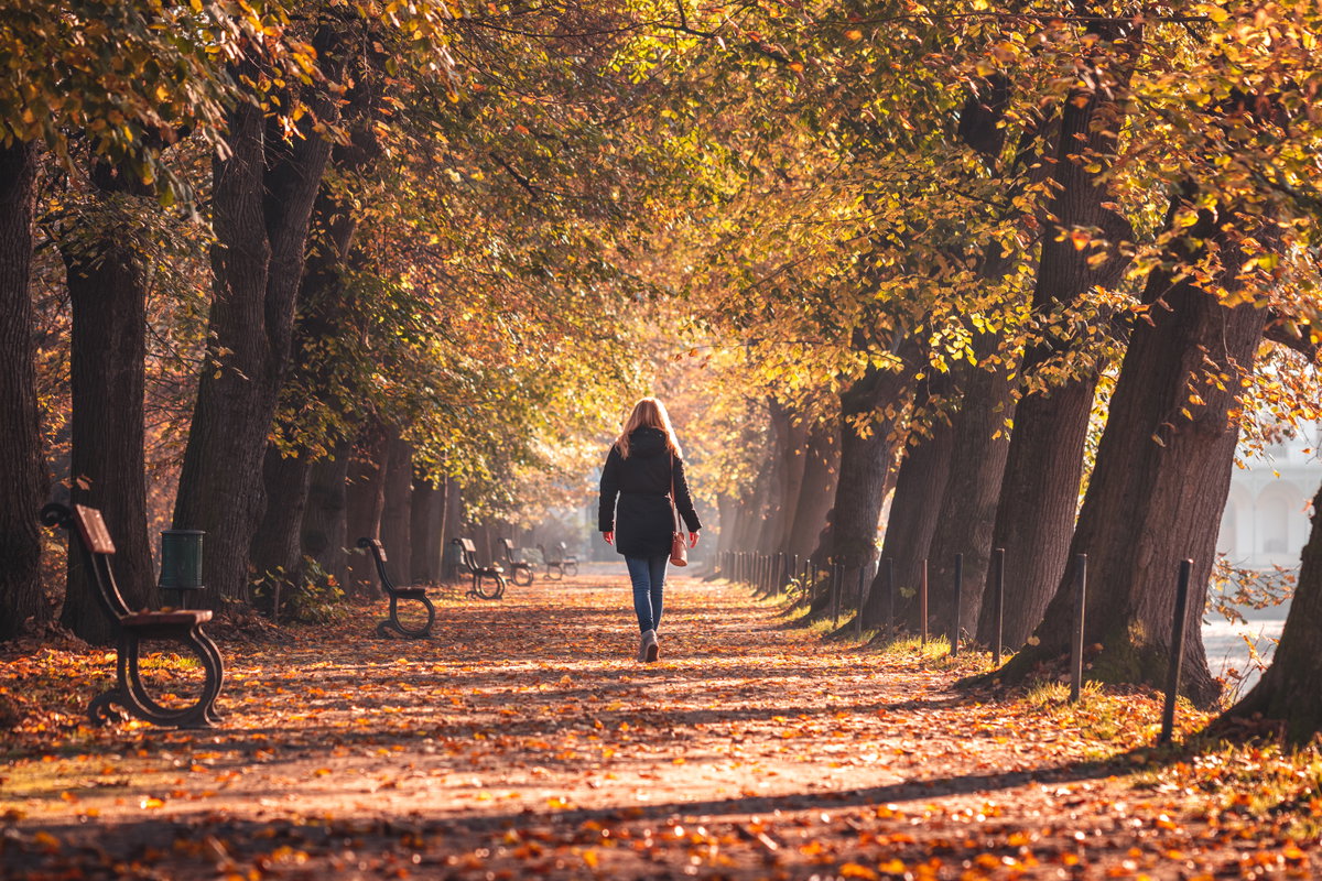 Frau spaziert im herbstlichen Wald
