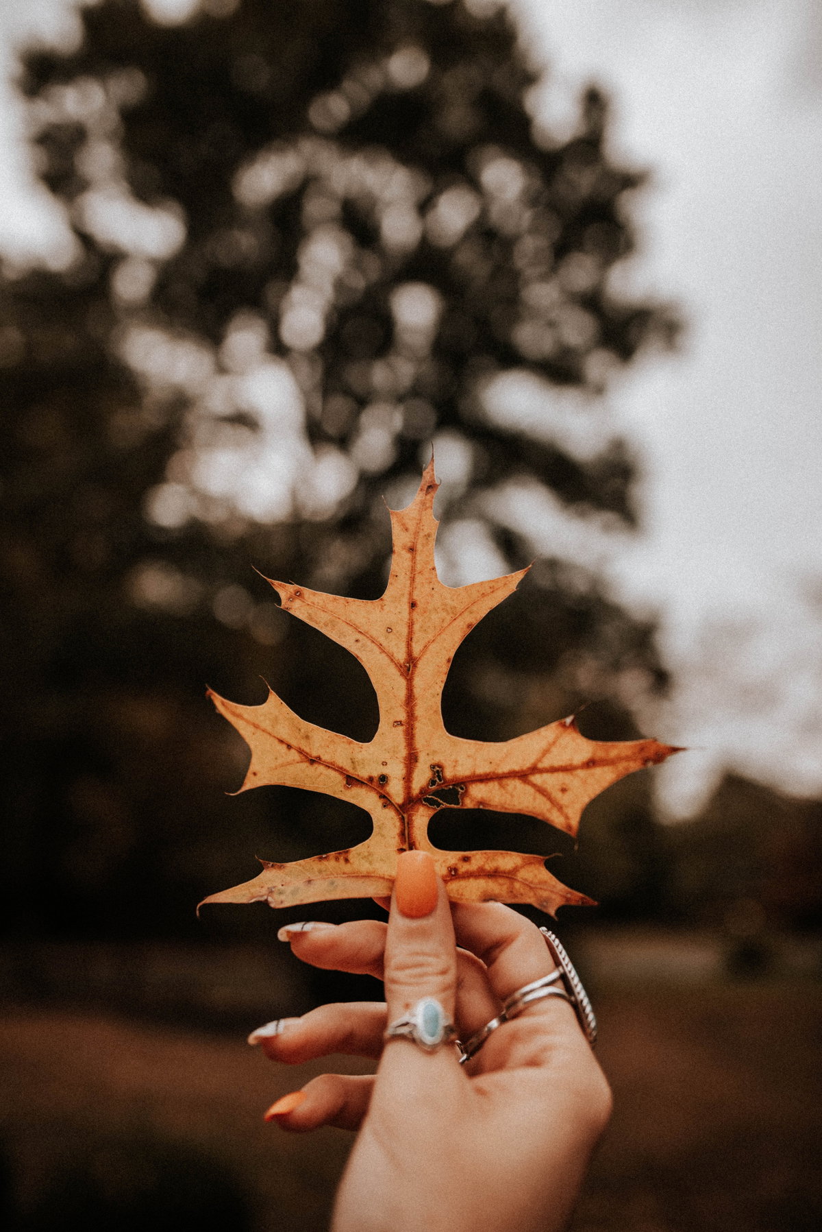 Square Nails Herbst
