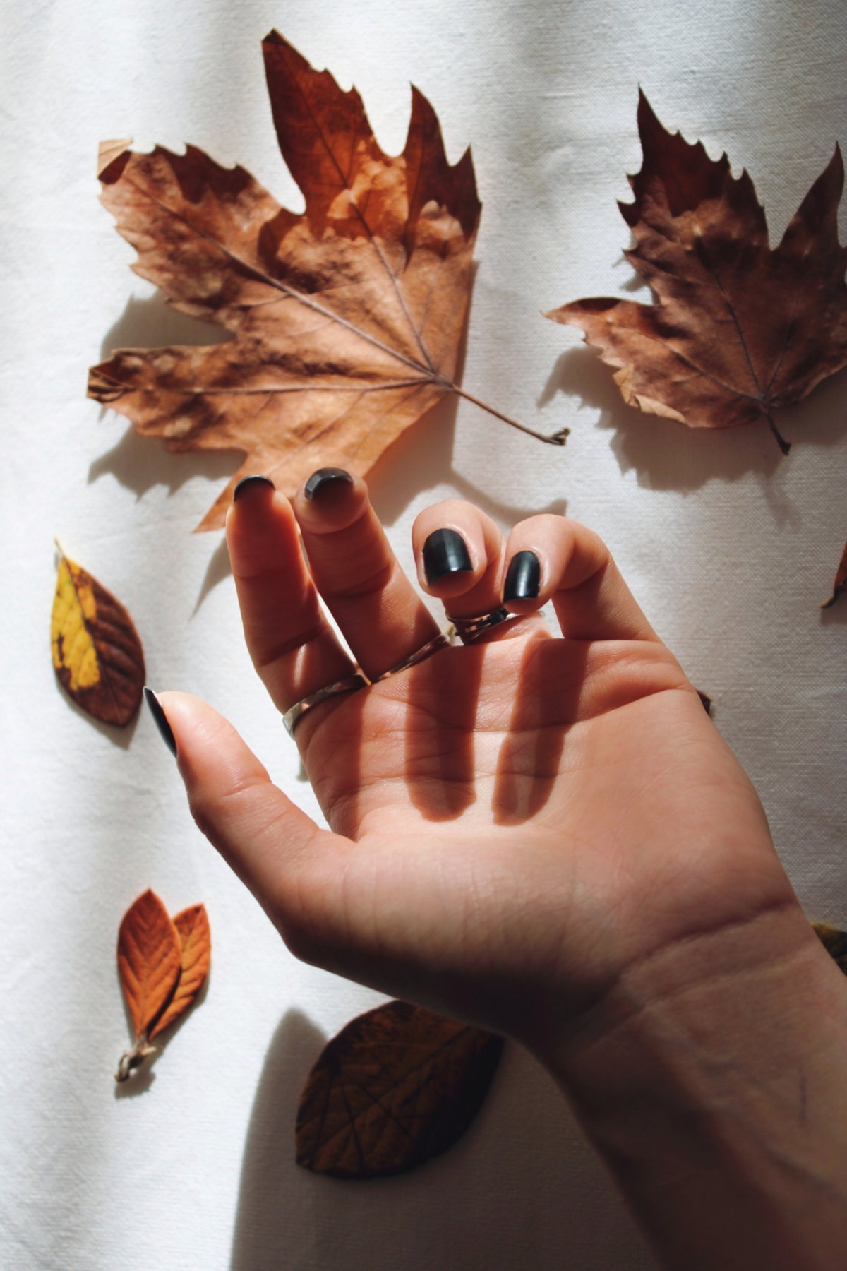 "Onyx Nails" Halloween