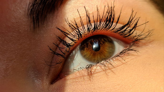 XXL-Aufschlag: Diese Mascara verleiht meinen Wimpern Mega-Volumen – ganz ohne Lifting