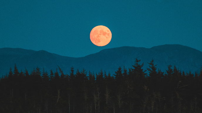 Wolfsmond: Das hat es mit dem besonderen Vollmond auf sich