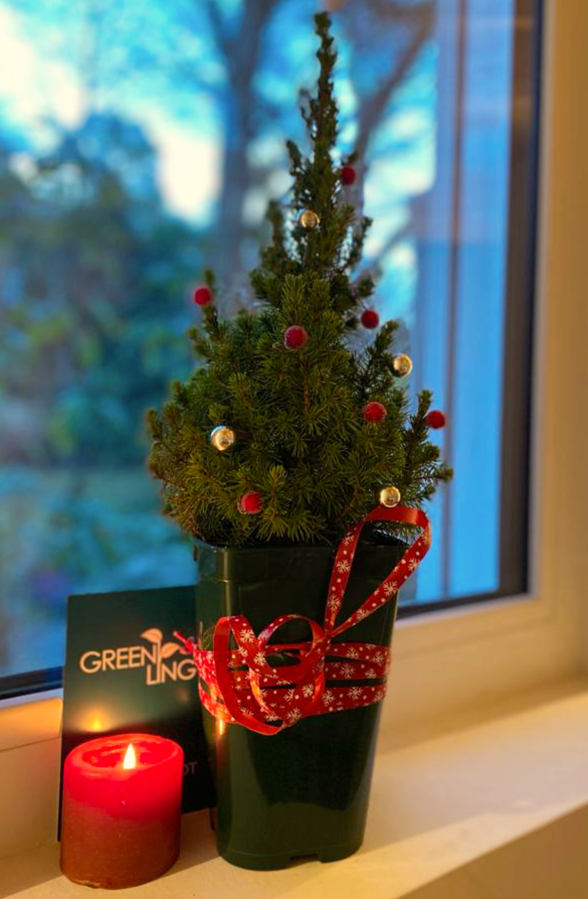 Greenling Mini Weihnachtsbaum