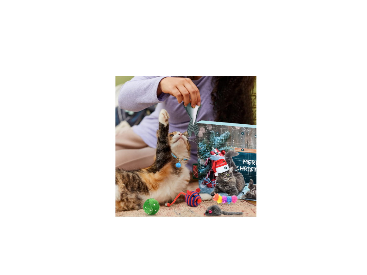 iZoel Adventskalender