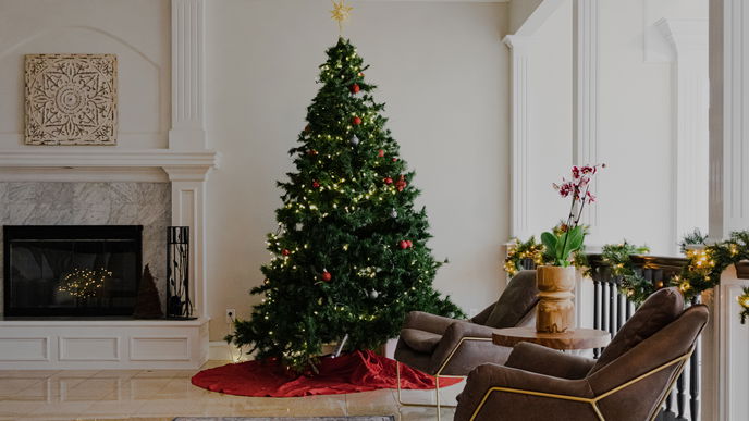 Ratlos beim Kauf des Weihnachtsbaums? Auf diese 5 Dinge solltest du achten