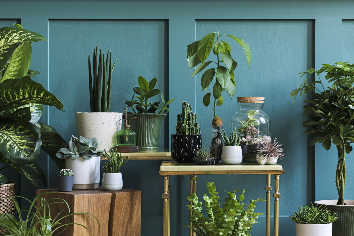 Greenterior Wohntrend
