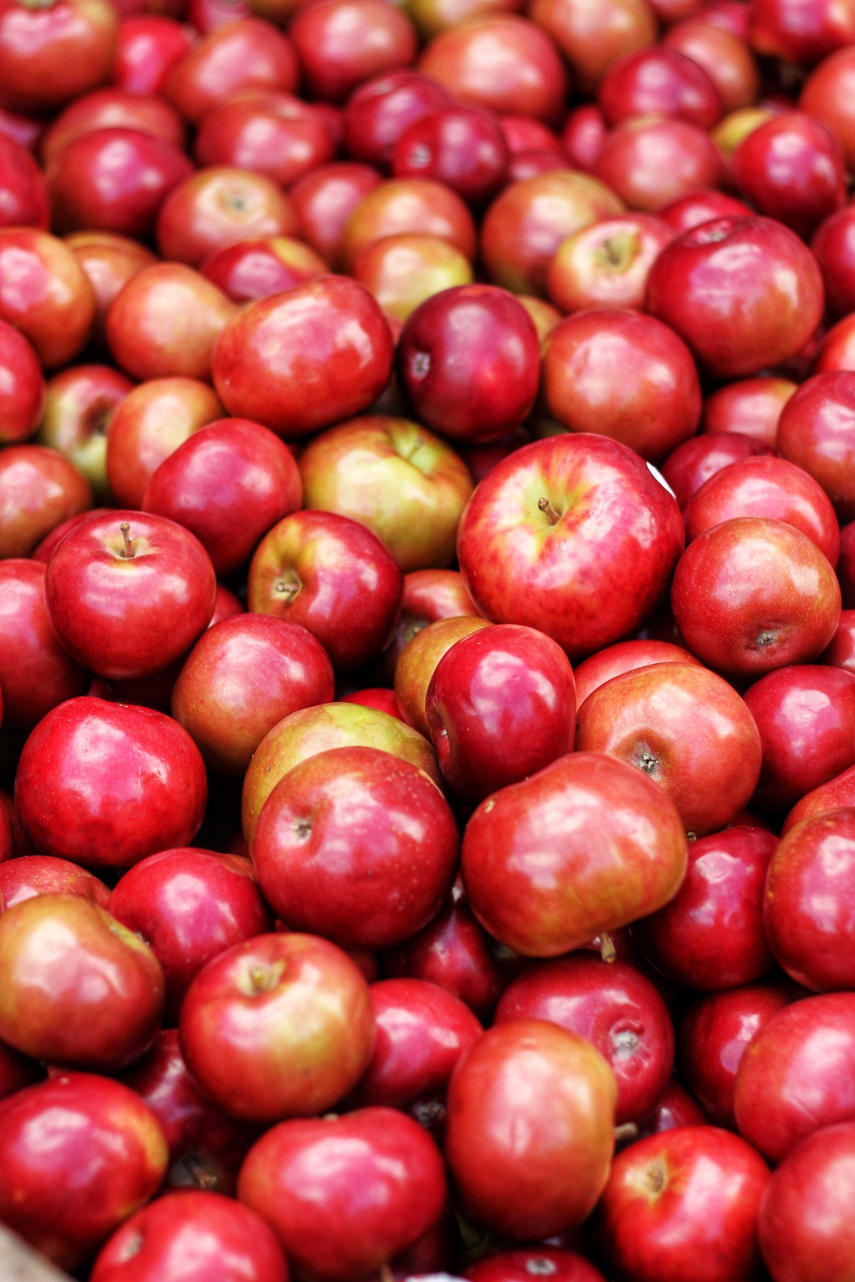 Rote Äpfel